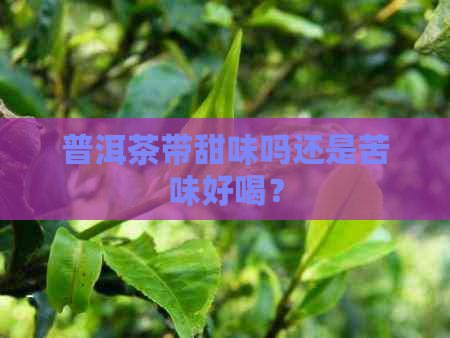 普洱茶带甜味吗还是苦味好喝？