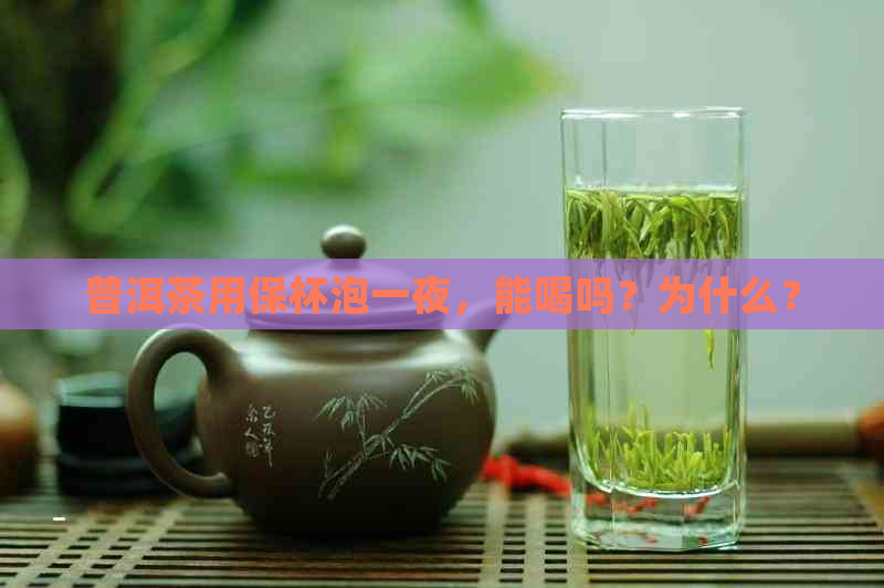 普洱茶用保杯泡一夜，能喝吗？为什么？