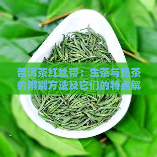 普洱茶红丝带：生茶与熟茶的辨别方法及它们的特点解析