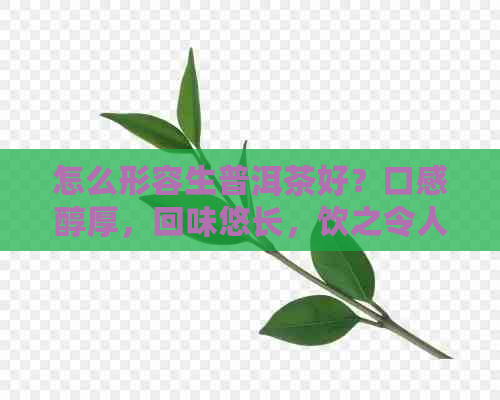 怎么形容生普洱茶好？口感醇厚，回味悠长，饮之令人心旷神怡。