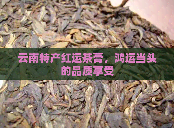 云南特产红运茶膏，鸿运当头的品质享受