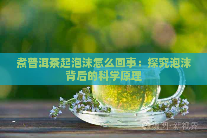 煮普洱茶起泡沫怎么回事：探究泡沫背后的科学原理