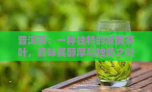 普洱茶：一种独特的发酵茶叶，品味其醇厚与独特之处