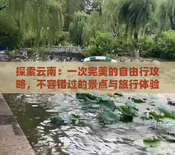 探索云南：一次完美的自由行攻略，不容错过的景点与旅行体验