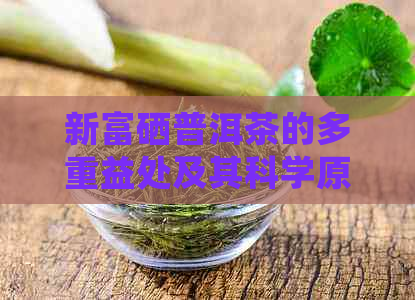 新富硒普洱茶的多重益处及其科学原理解析