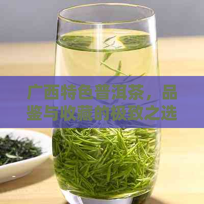 广西特色普洱茶，品鉴与收藏的极致之选