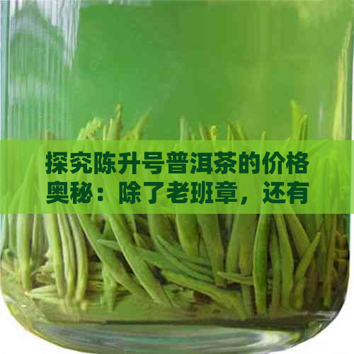 探究陈升号普洱茶的价格奥秘：除了老班章，还有哪些因素影响？