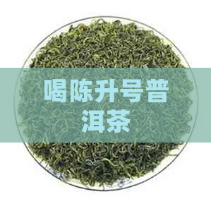 喝陈升号普洱茶