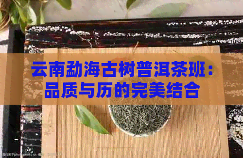 云南勐海古树普洱茶班：品质与历的完美结合