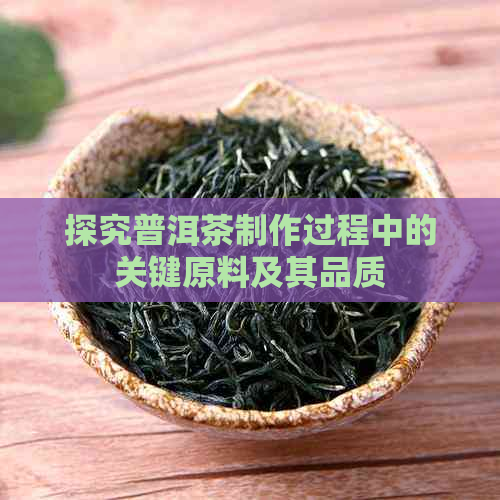 探究普洱茶制作过程中的关键原料及其品质