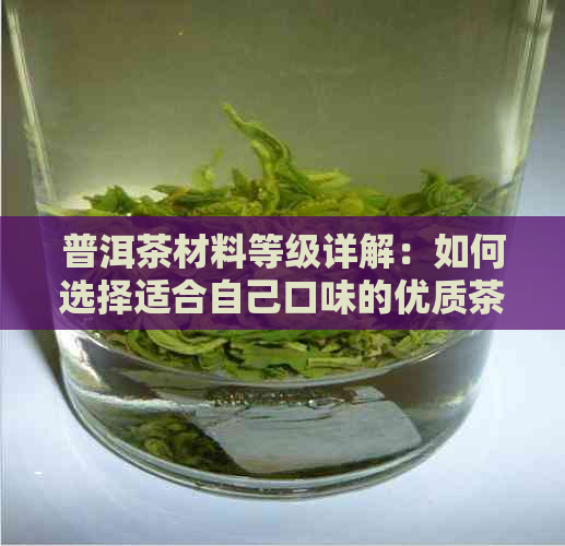 普洱茶材料等级详解：如何选择适合自己口味的优质茶叶