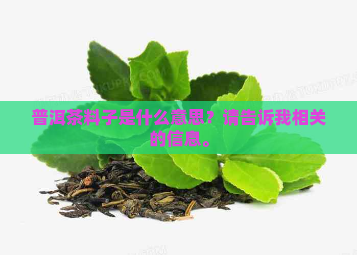 普洱茶料子是什么意思？请告诉我相关的信息。