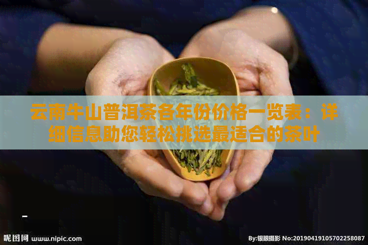 云南牛山普洱茶各年份价格一览表：详细信息助您轻松挑选最适合的茶叶