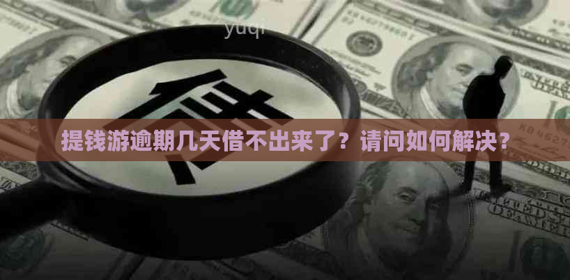 提钱游逾期几天借不出来了？请问如何解决？