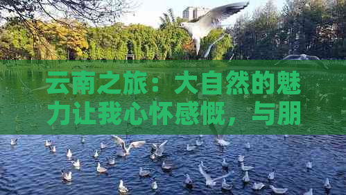 云南之旅：大自然的魅力让我心怀感慨，与朋友共同感受旅行的美好