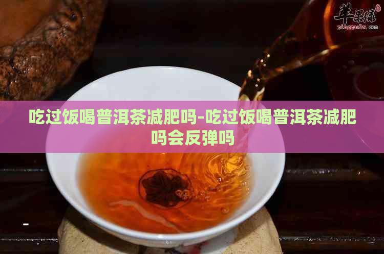 吃过饭喝普洱茶减肥吗-吃过饭喝普洱茶减肥吗会反弹吗