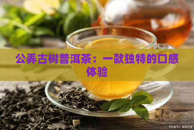 公弄古树普洱茶：一款独特的口感体验