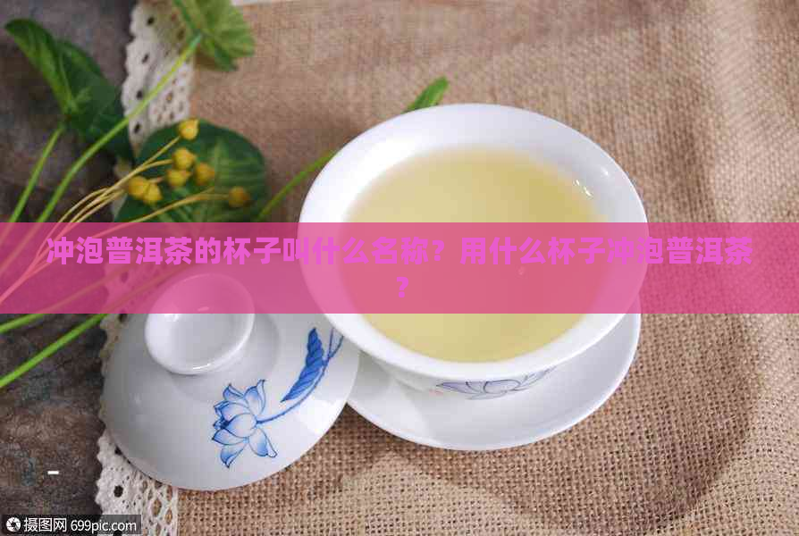 冲泡普洱茶的杯子叫什么名称？用什么杯子冲泡普洱茶？