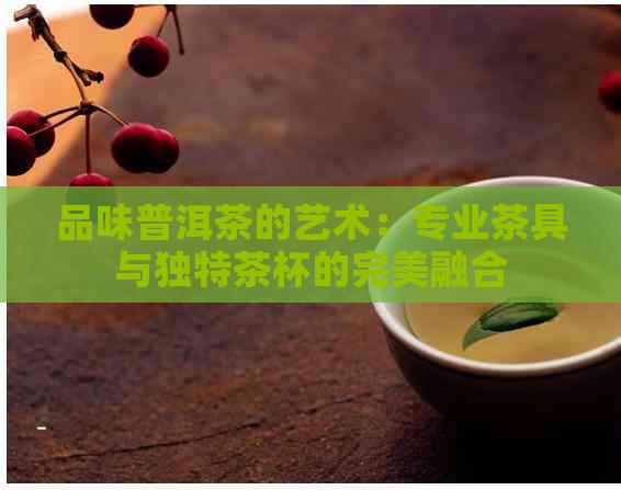 品味普洱茶的艺术：专业茶具与独特茶杯的完美融合