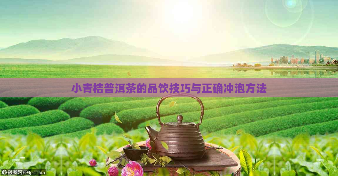 小青桔普洱茶的品饮技巧与正确冲泡方法