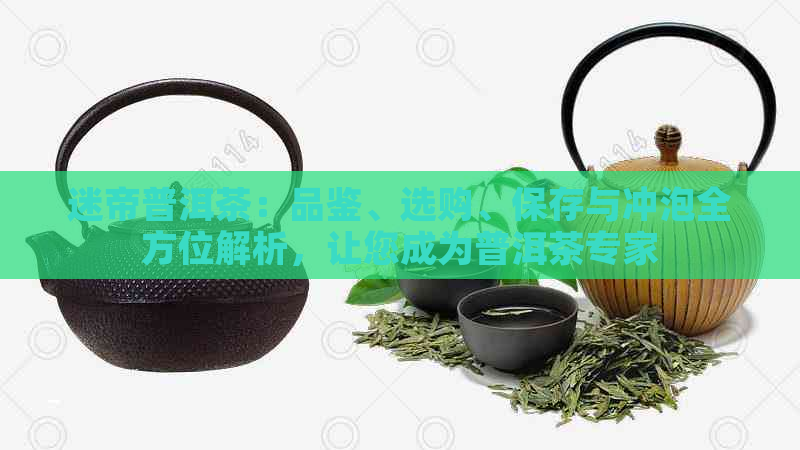 迷帝普洱茶：品鉴、选购、保存与冲泡全方位解析，让您成为普洱茶专家