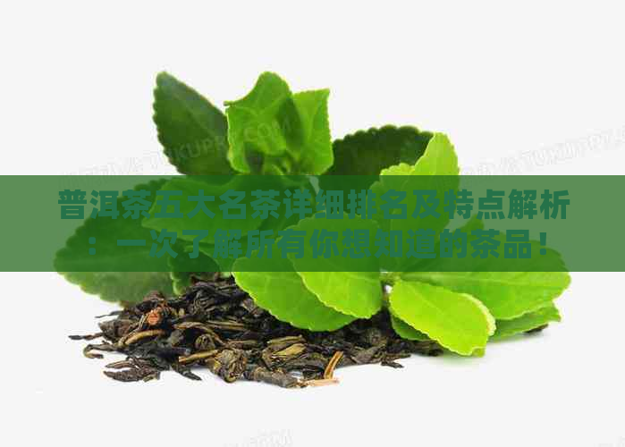 普洱茶五大名茶详细排名及特点解析：一次了解所有你想知道的茶品！