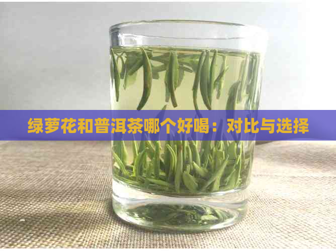 绿萝花和普洱茶哪个好喝：对比与选择