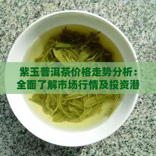 紫玉普洱茶价格走势分析：全面了解市场行情及投资潜力