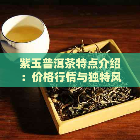 紫玉普洱茶特点介绍：价格行情与独特风味