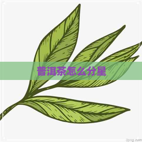 普洱茶怎么分星