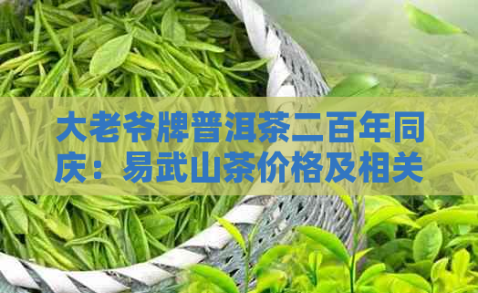 大老爷牌普洱茶二百年同庆：易武山茶价格及相关信息