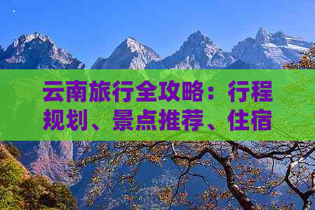 云南旅行全攻略：行程规划、景点推荐、住宿和交通指南