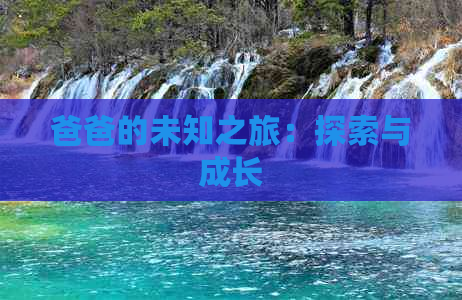 爸爸的未知之旅：探索与成长