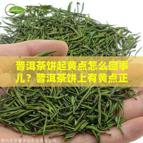 普洱茶饼起黄点怎么回事儿？普洱茶饼上有黄点正常吗？普洱茶饼发霉了吗？