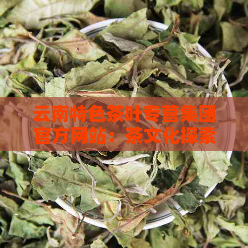 云南特色茶叶专营集团官方网站：茶文化探索与品鉴中心