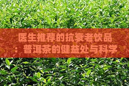 医生推荐的抗衰老饮品：普洱茶的健益处与科学证据