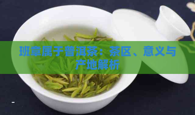 班章属于普洱茶：茶区、意义与产地解析