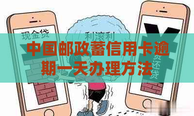 中国邮政蓄信用卡逾期一天办理方法