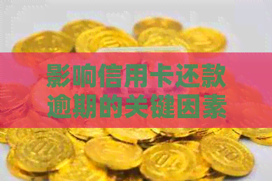 影响信用卡还款逾期的关键因素：晚上还款的挑战与解决方案