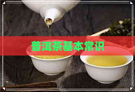 普洱茶基本常识