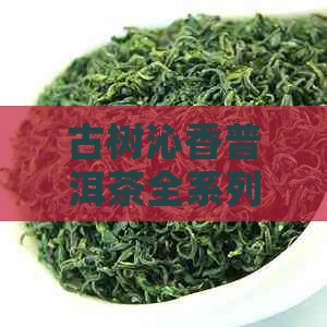 古树沁香普洱茶全系列价格一览表：从入门级到高端品质一应俱全