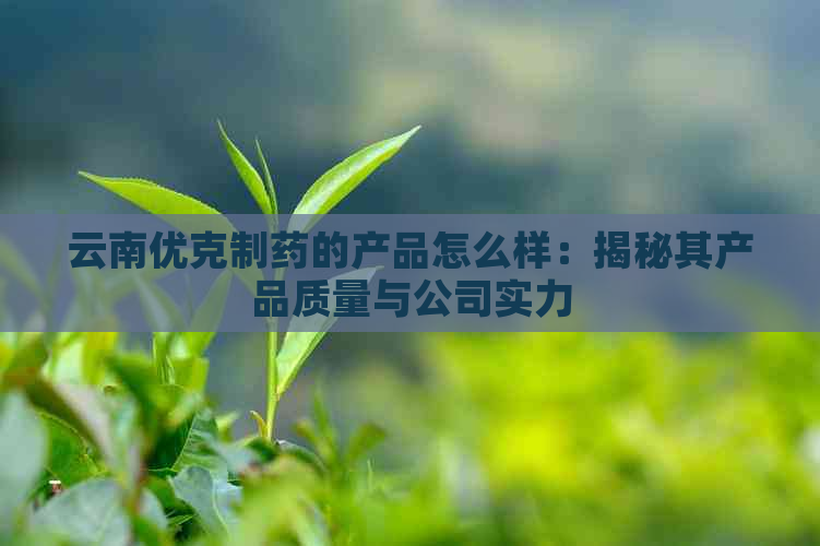 云南优克制药的产品怎么样：揭秘其产品质量与公司实力