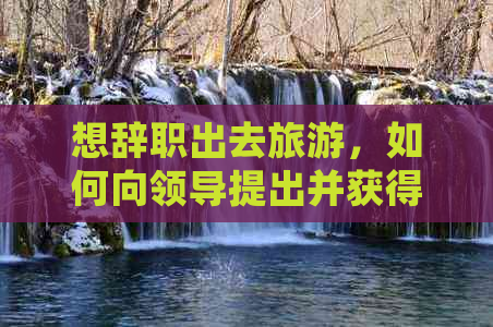 想辞职出去旅游，如何向领导提出并获得支持？