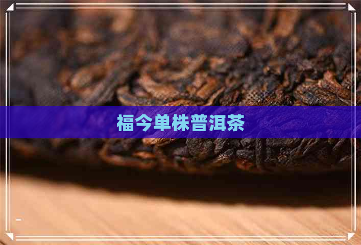 福今单株普洱茶