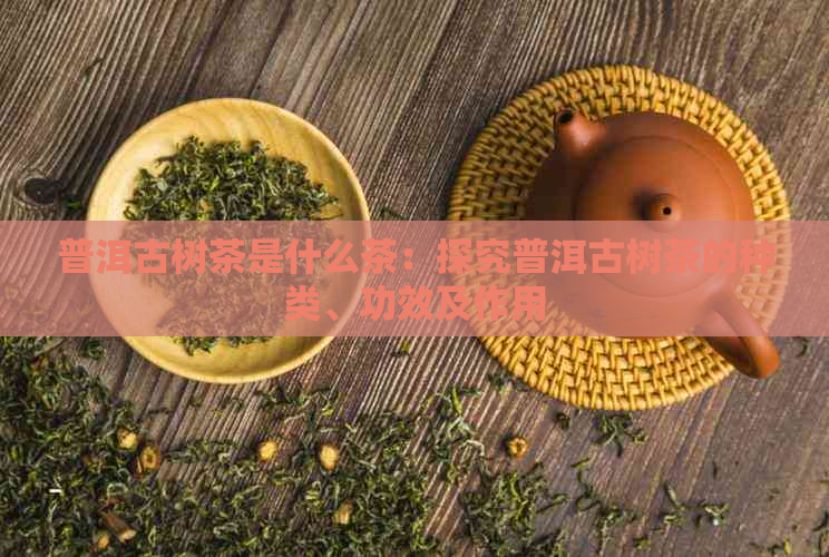 普洱古树茶是什么茶：探究普洱古树茶的种类、功效及作用