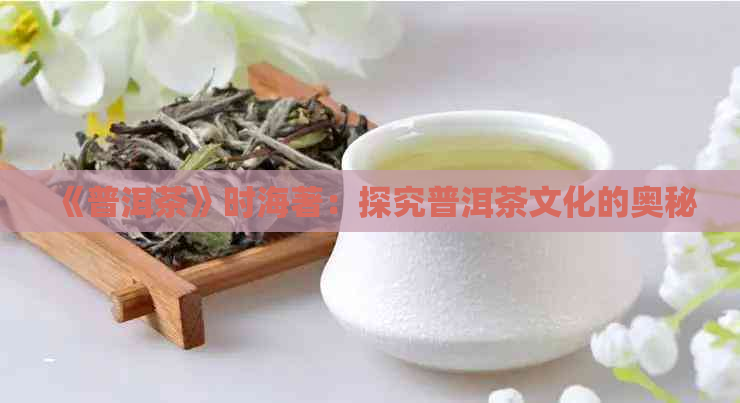 《普洱茶》时海著：探究普洱茶文化的奥秘