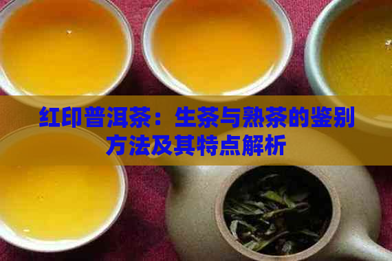 红印普洱茶：生茶与熟茶的鉴别方法及其特点解析