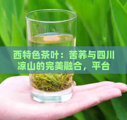 西特色茶叶：苦荞与四川凉山的完美融合，平台上的优质厂家直供