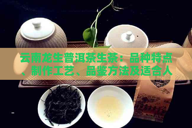 云南龙生普洱茶生茶：品种特点、制作工艺、品鉴方法及适合人群全解析