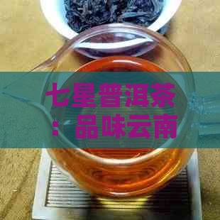 七星普洱茶：品味云南古树茶的文化与历